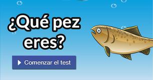 ¿Qué pez eres? ¿Qué pez eres?