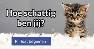 Hoe schattig ben jij? Hoe schattig ben jij?