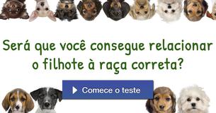 Será que você consegue relacionar o filhote à raça correta? Será que você consegue relacionar o filhote à raça correta?
