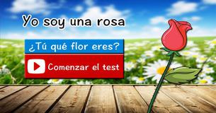 ¿Qué flor eres? ¿Qué flor eres?