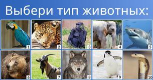 Смесью каких животных ты являешься? Смесью каких животных ты являешься?