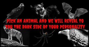 Pick An Animal And We Will Reveal To You The Dark Side Of Your Personality Pick An Animal And We Will Reveal To You The Dark Side Of Your Personality