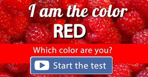 What is your color? What is your color?