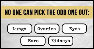 Only 4 Out Of 100 People Will Ace The Hardest IQ Drill Ever Only 4 Out Of 100 People Will Ace The Hardest IQ Drill Ever