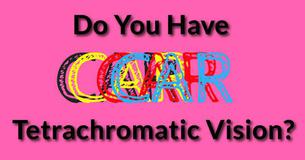 If You Get 10/10 On This Twisted Test, You Probably Have Tetrachromatic Vision If You Get 10/10 On This Twisted Test, You Probably Have Tetrachromatic Vision