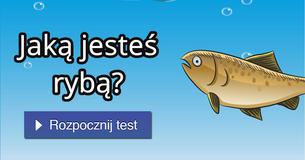 Jaką jesteś rybą? Jaką jesteś rybą?