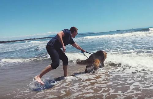 Dog Who Was Chained Up His Whole Life Visits The Ocean For The First ...