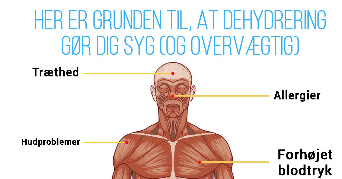 Eskorter som gör det