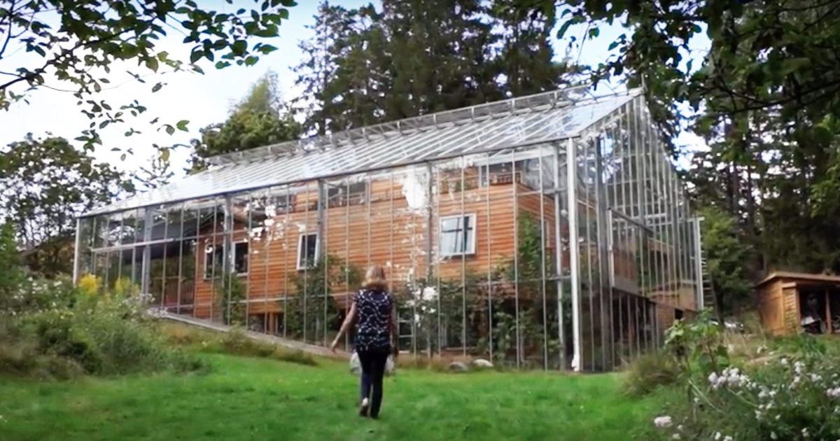 39+ Gewächshaus Im Haus, Egal, ob sie ein gartenneuling oder ein