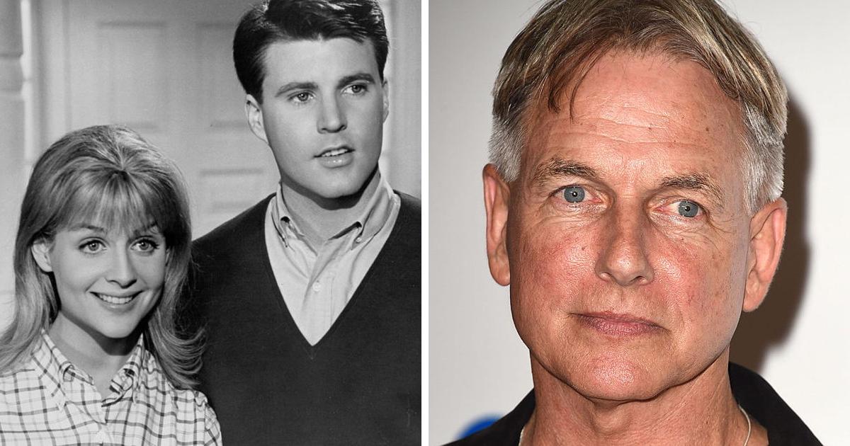 The Sad Downward Spiral Of Kristin Nelson, NCIS Actor Mark Harmon's Late  Sister