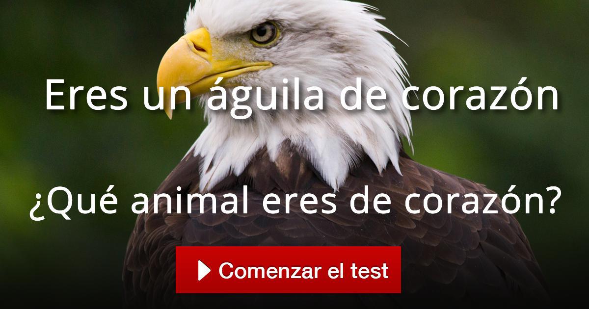 Qué Animal Eres De Corazón